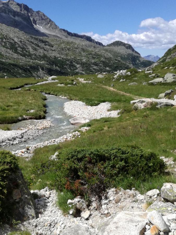 Rifugio Stella Alpina Hotel Saviore dell'Adamello Exterior foto